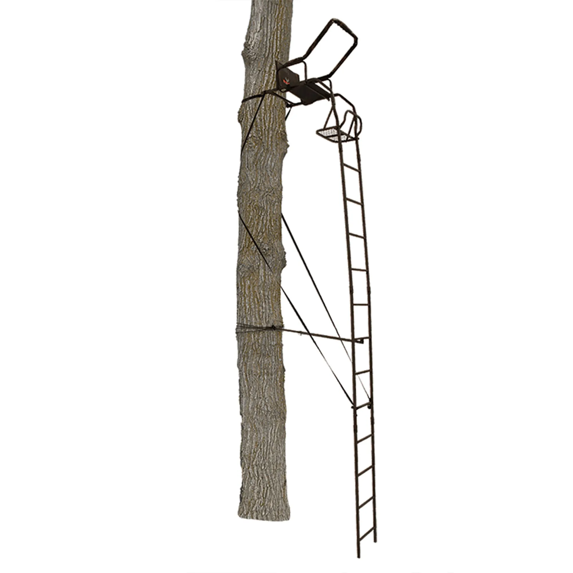 Big Game Warrior DXT 17' Portable Hunting Outside Tree Stand Ladder (2 Pack)